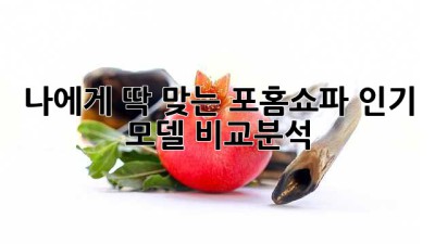 나에게 딱 맞는 포홈쇼파 인기 모델 비교분석