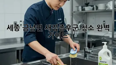 세종 금남면 새집증후군 청소 완벽 가이드