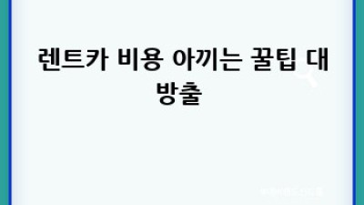 해남 렌트카 자차보험 완전정복! 🚗💨 비용 아끼는 꿀팁 대방출!